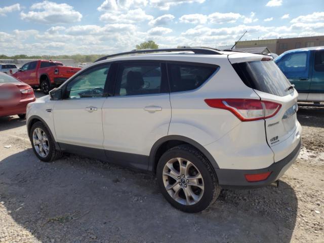 
								2013 Ford Escape full									